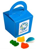 Mixed Lollies Noodle Box