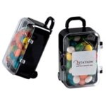 Acrylic Carry-on Case with Chewy Fruits 50G