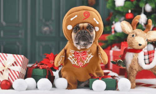 Spread Festive Cheer with Promotional Christmas Confectionery