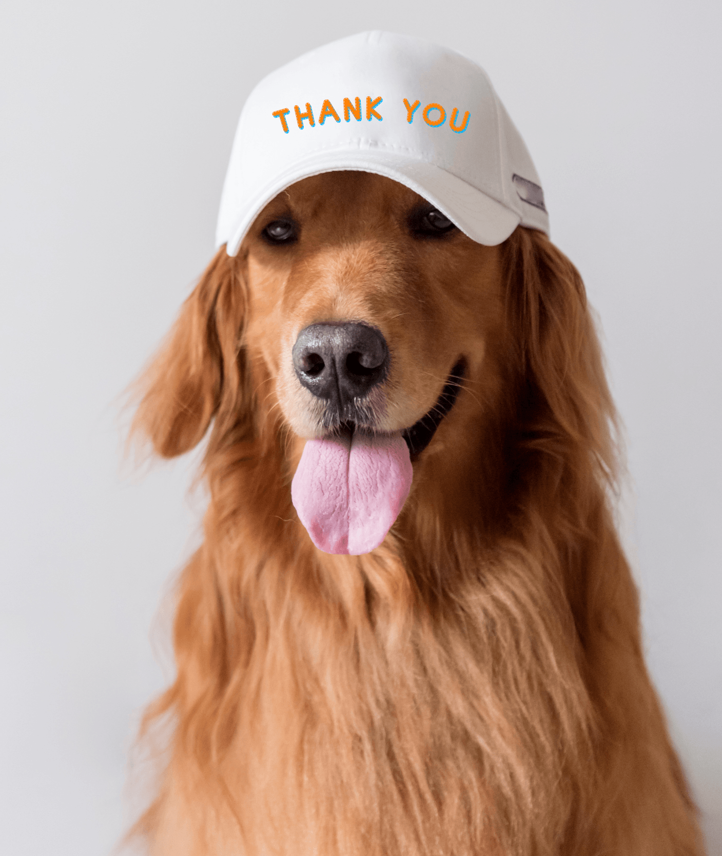 thank you for your enquiry